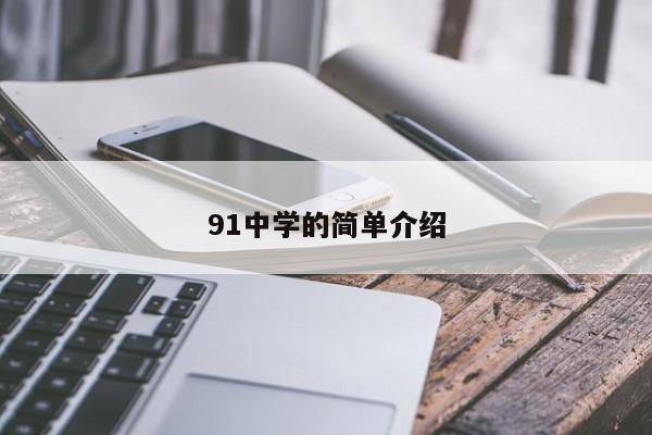 91中学的简单介绍