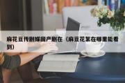 麻花豆传剧媒国产剧在（麻豆花絮在哪里能看到）