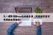 九一麻花传剧mv在线看高清（天美麻花星空电视剧免费播放）