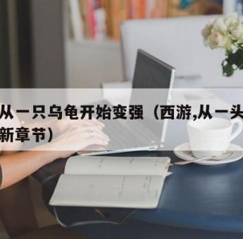 西游从一只乌龟开始变强（西游,从一头牛开始最新章节）